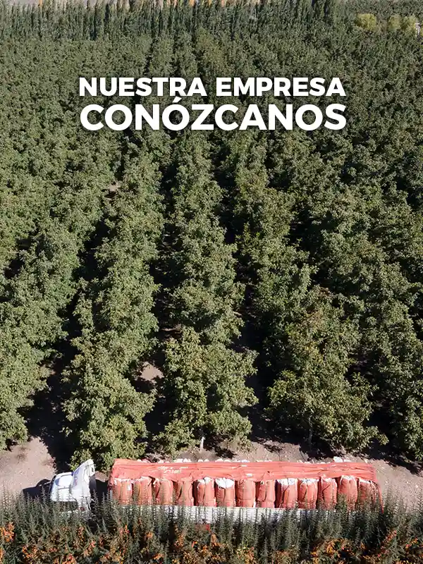 Nuestra Empresa Pecanes Argentinos